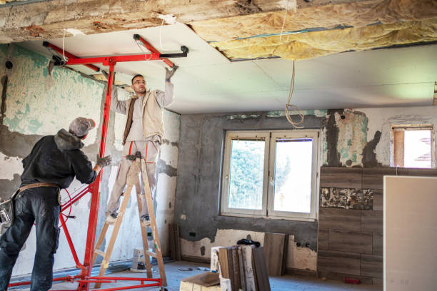 Best Residential Insulation in Orange, VA